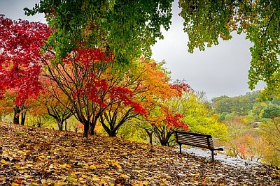 Panchina nel parco in autunno durante la pioggia