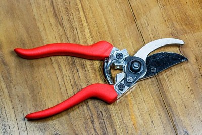 Tijeras de podar rojas sobre fondo de madera