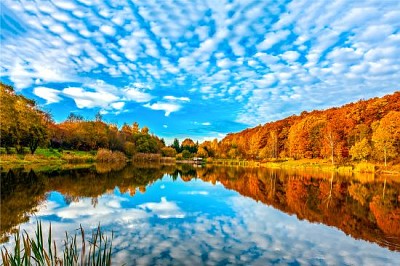 秋の森の湖の反射風景