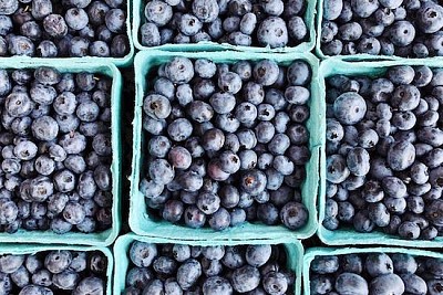 Full of Blueberries jigsaw puzzle