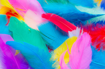 Close up to bright colorful feathers background