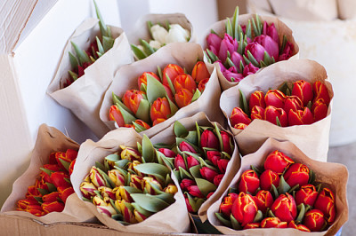 Beautiful colorful bouquets of tulips in craft pap