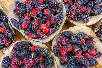 Primo piano di gelsi frutti.