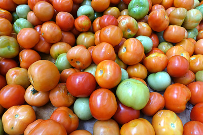 Feche de tomates frescos, foco seletivo.