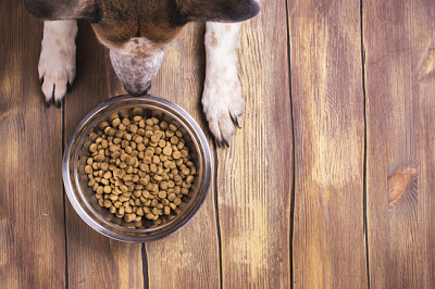 פאזל של קערה של מזון לכלבים יבשים יבשים וכלביים וכפות כלבים