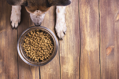 Skål med torr kibble hundmat och hundtassar och neb