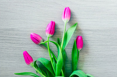 Um buquê de delicadas flores de tulipa rosa, na luz