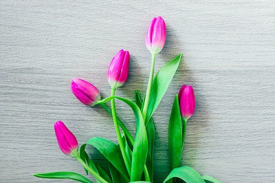 Un ramo de delicadas flores de tulipán rosa, a la luz