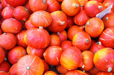 Beaucoup de citrouilles d'automne rouges sur le marché