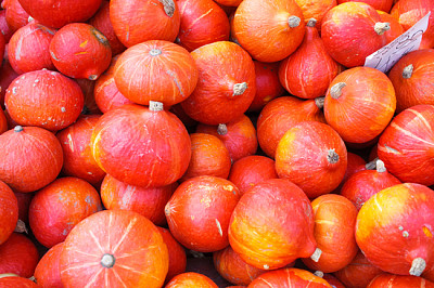 Many red autumn pumpkins on market