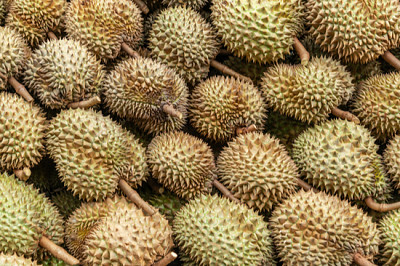 Durian kung av frukt, platt lag av Durian Backgroun