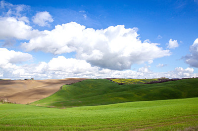 Gröna kullar i Toscana tidigt på våren