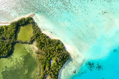 Orquídea Magu, Thinadhoo, Maldivas