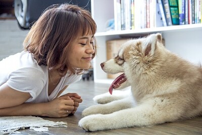 Mujer tendida en el suelo junto a Husky siberiano