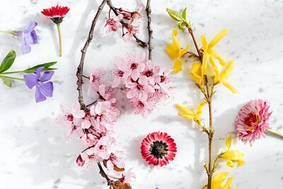 Blühende Zweige mit zarten Blumen