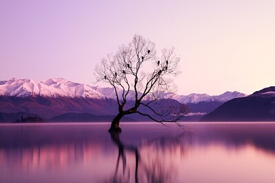 Paesaggio viola