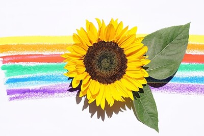 Sonnenblume mit Malerei