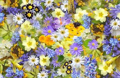 Bed of Flowers jigsaw puzzle