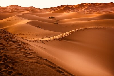 Deserto Marrom