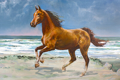 Cavalo Pintado