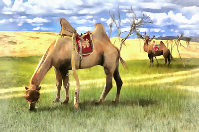 Mongol Els Sand Sunes jigsaw puzzle