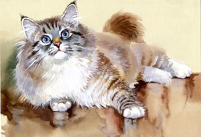 Watercolor Cat jigsaw puzzle