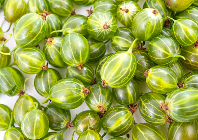 Gooseberries jigsaw puzzle