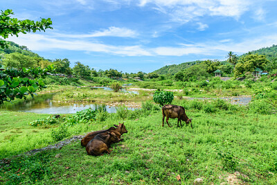 כפר Keereewong Thailad