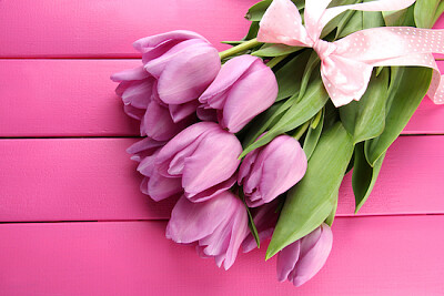 Strauß lila Tulpen