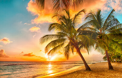 Barbados jigsaw puzzle