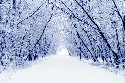 Invierno nevado