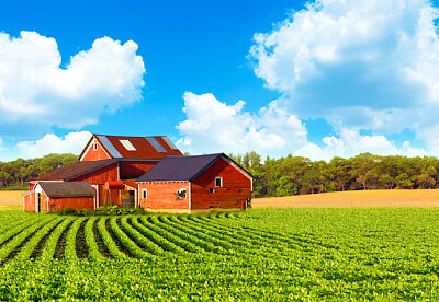 Paisagem ensolarada da fazenda