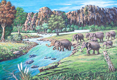 Peinture à l'huile d'éléphants