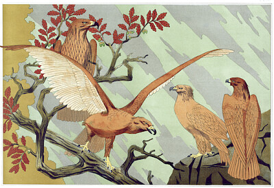 Aigles da Lanimal dans la décoration