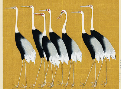 Flock of beautiful Japanese red crown crane