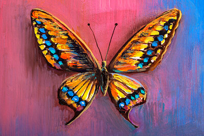 Pittura a olio di farfalle