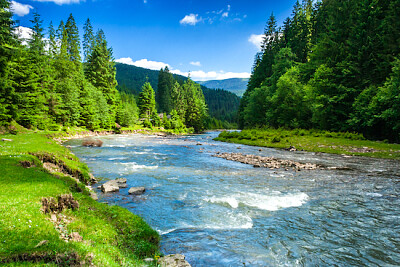 Flusslandschaft