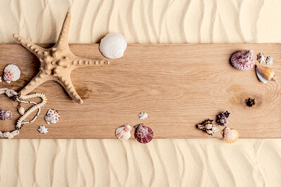 Seashells on Wood  jigsaw puzzle