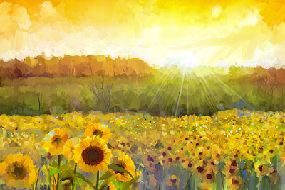 Fiore di girasole in fiore - Pittura a olio