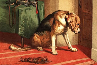 Spannung (1877)