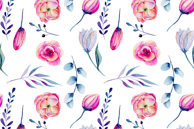 Pivoines roses aquarelles et branches bleues