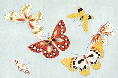 Japanese butterfly jigsaw puzzle