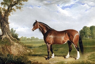 Un dipinto di stallone di Clydesdale