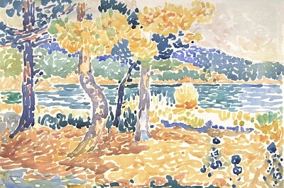 Pines on the Coastline