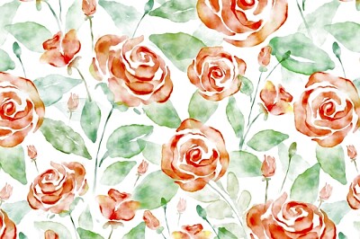 Rose Line art Mixture