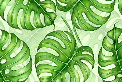 Monstera Leaves Background jigsaw puzzle