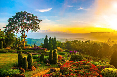 Schöner Garten und Sonnenaufgang