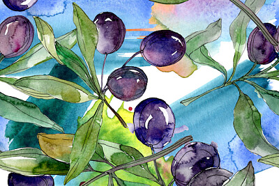Schwarze Oliven auf Ästen mit grünen Blättern