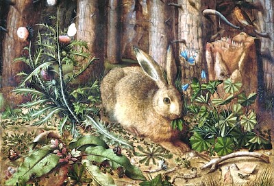 Una liebre en el bosque (1585)