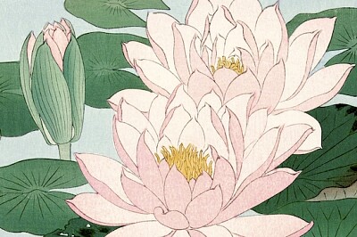 Water Lily Japanese Print jigsaw puzzle